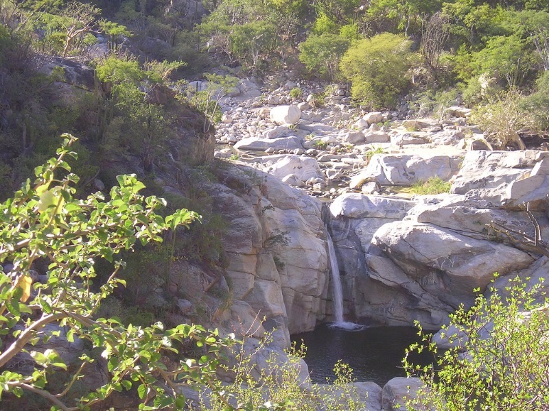 Waterfall in Sierra de la Laguna, Baja, Mexico