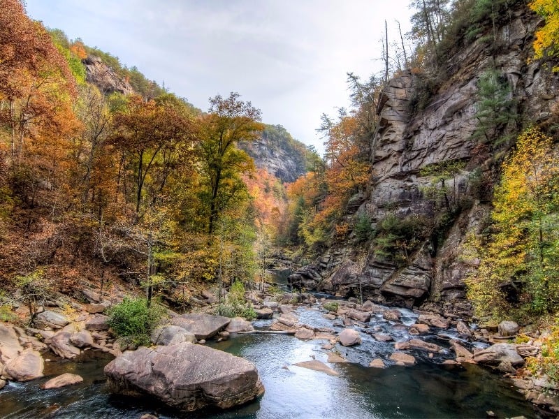 11 Best Natural Georgia Swimming Holes Trips To Discover