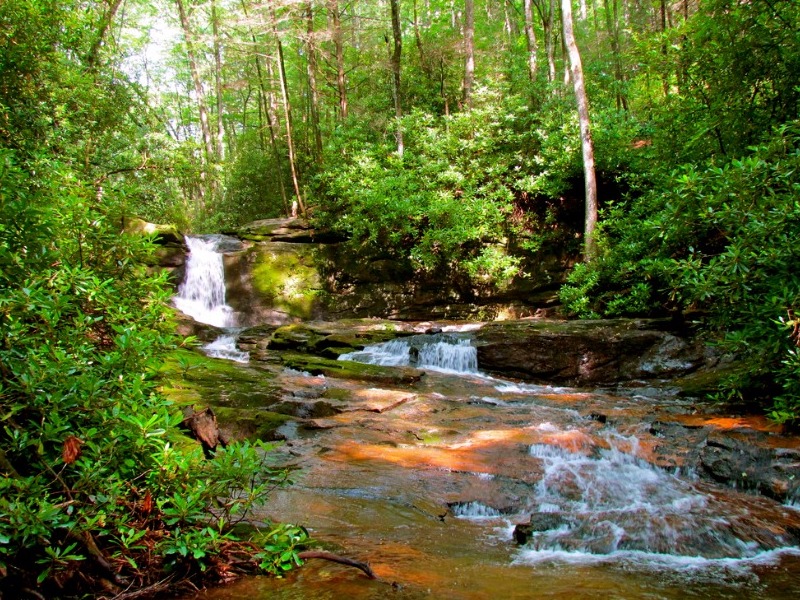 Raven Cliffs Trail - Chattahoochee National Forest