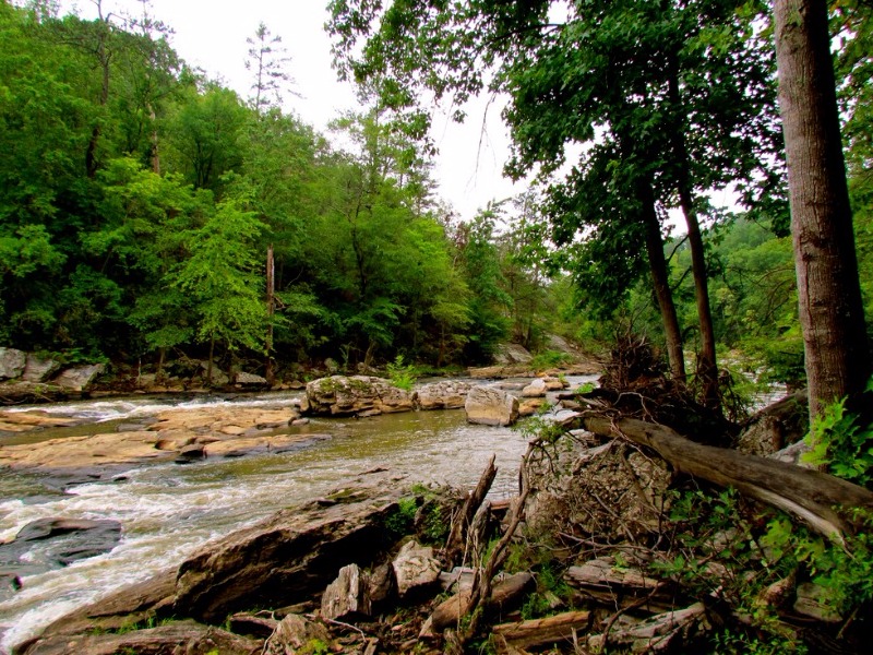 Sweetwater Creek