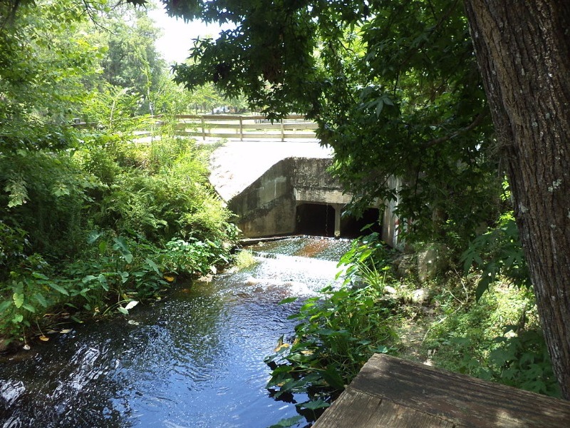 Mill Creek at Lake Irma Dam