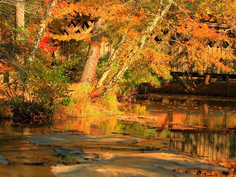 Fall colors at Pools Mill Park in Cumming