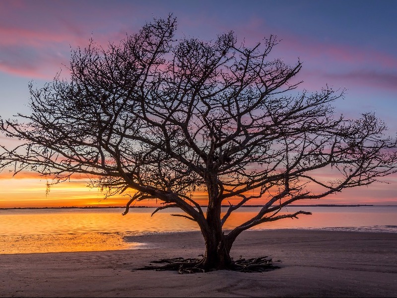 Jekyll Island