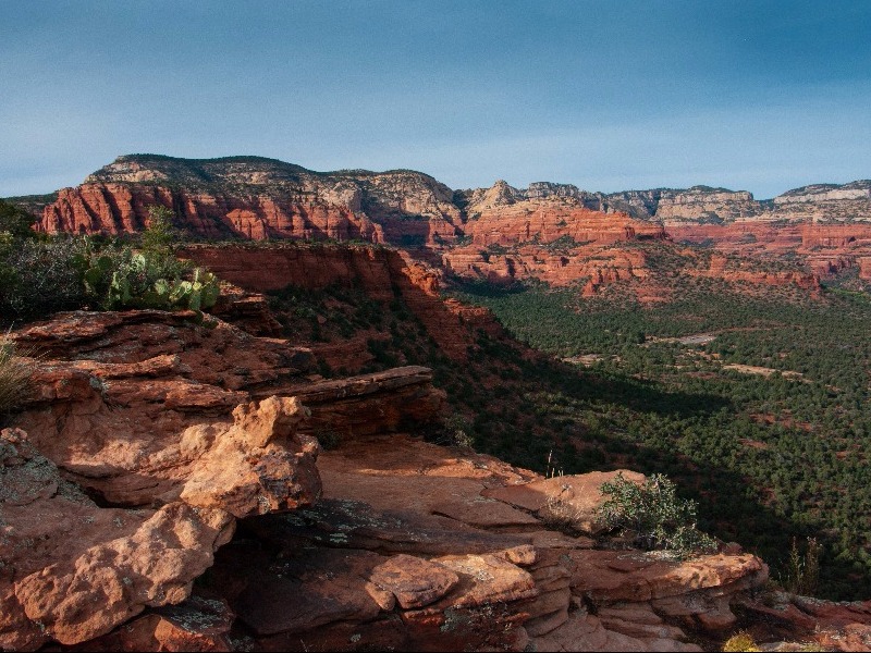 Coconino National Forest