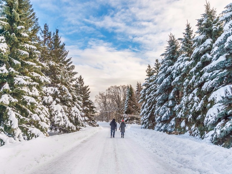 Winter stroll in Montreal Botanical Gardens