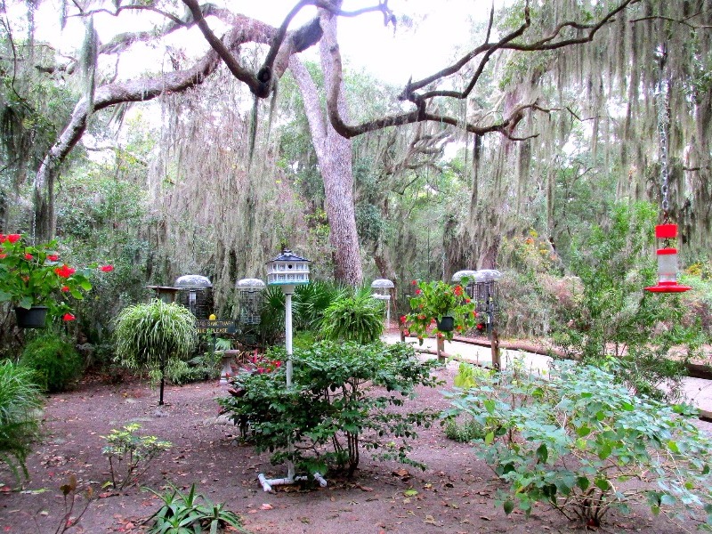 Bird Sanctuary at Jeckyll Island Campground