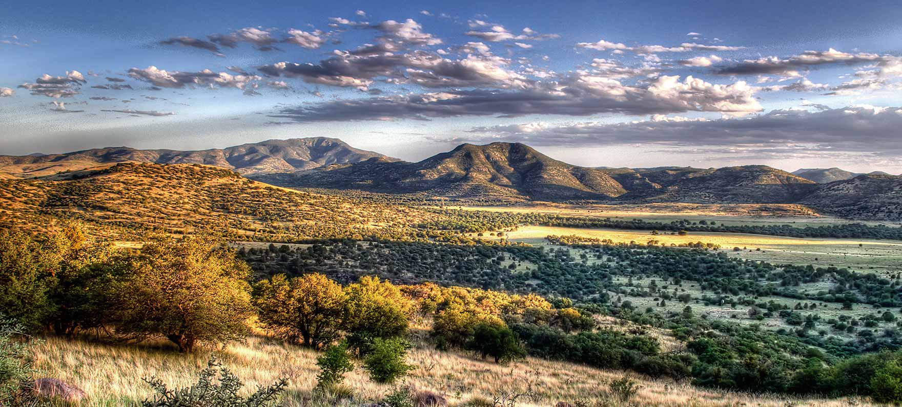 Davis Mountains State Park