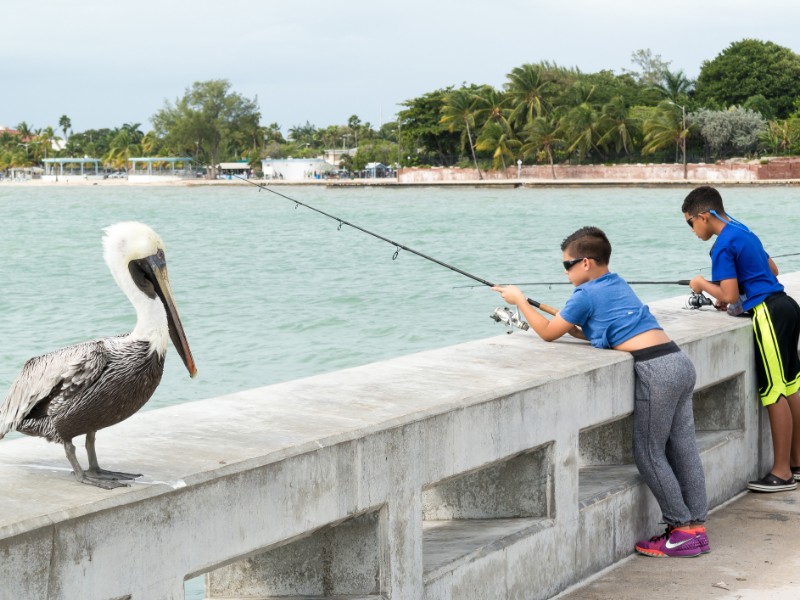 Kids fishing in Key West