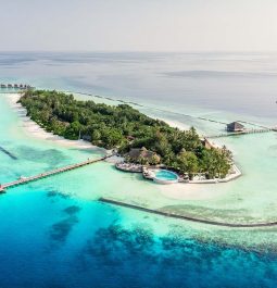 aerial view of island resort in the maldives