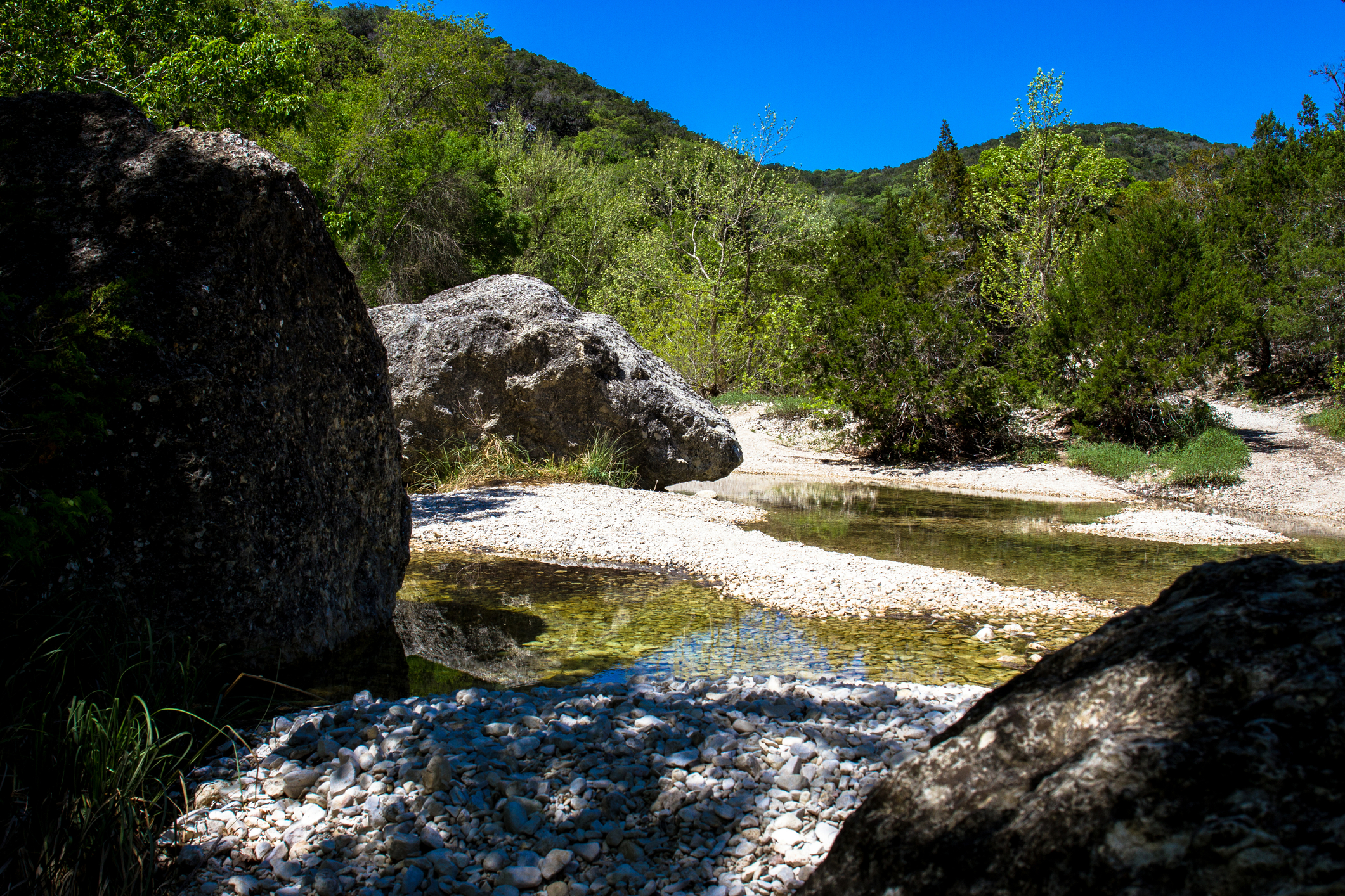 Lost Maples State Natural Area