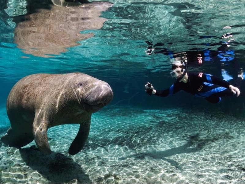 Three Sisters Springs