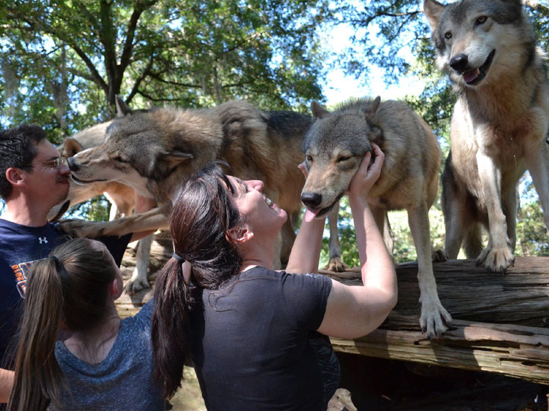 Seacrest Wolf Preserve