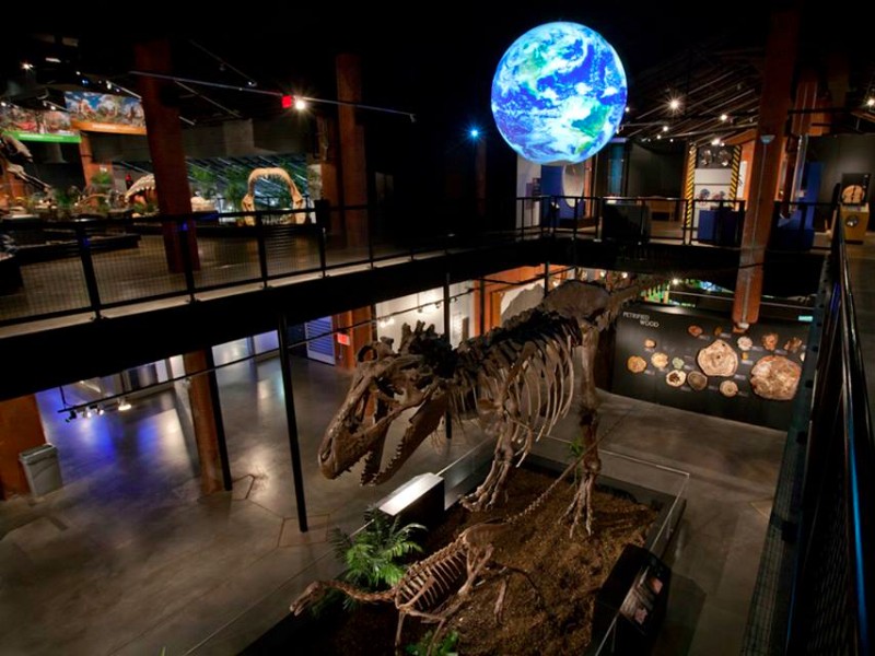 The Houston Museum of Natural Science, Houston