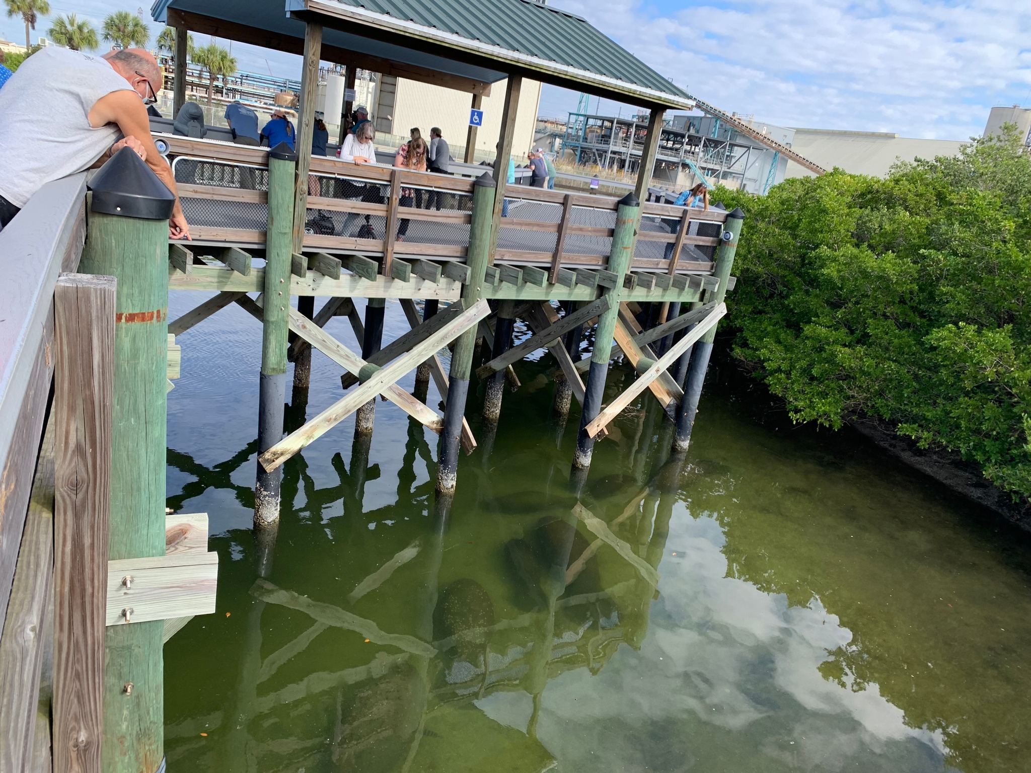 Manatee Viewing Center