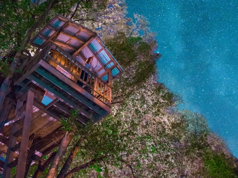 Treehouse, Prescott