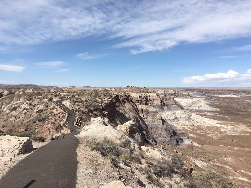 Blue Mesa Trail Hike 