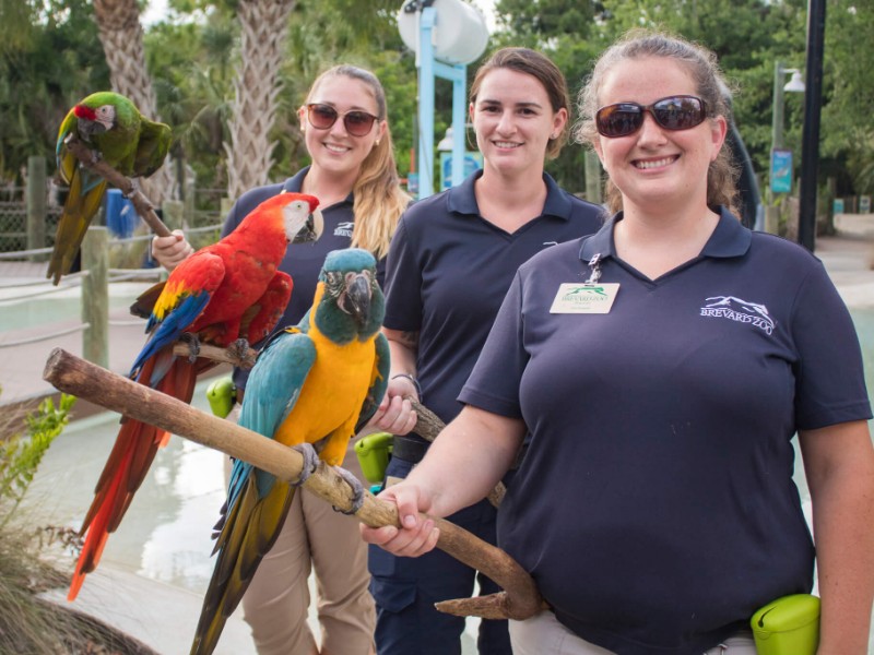 10 Best Zoos To Visit In Florida (with Photos) – Trips To Discover