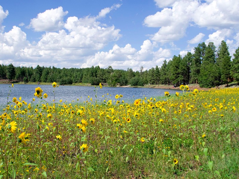 Dogtown Lake