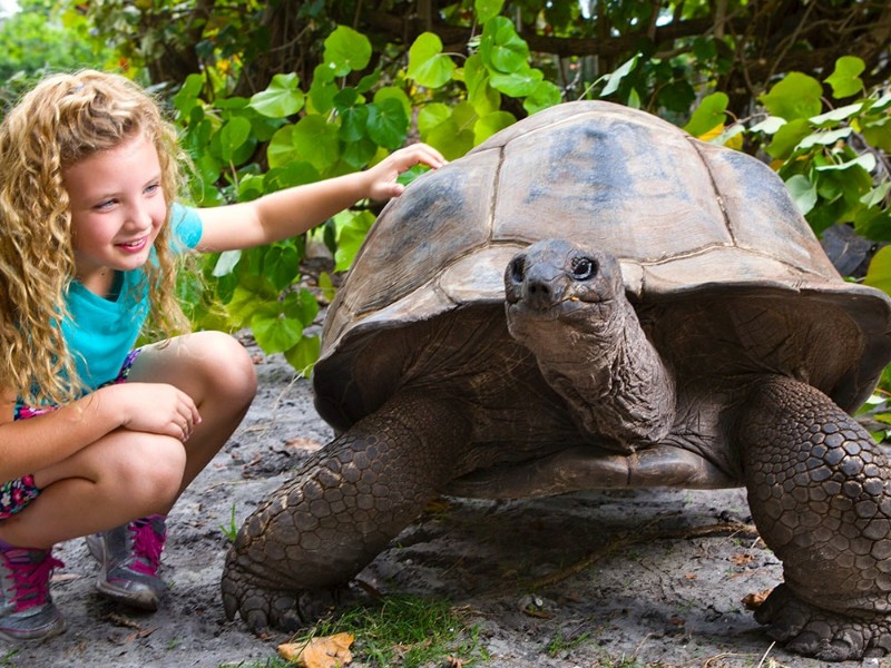 Palm Beach Zoo