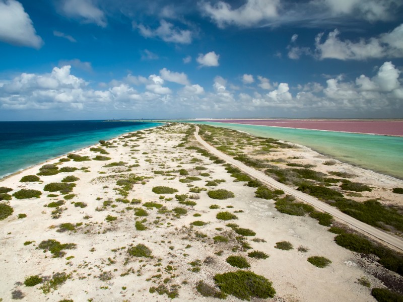 Pink Beach, Bonaire