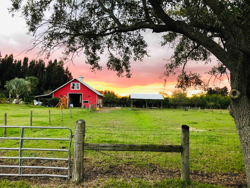 Private Barn Studio at Pura Vida Florida Farm