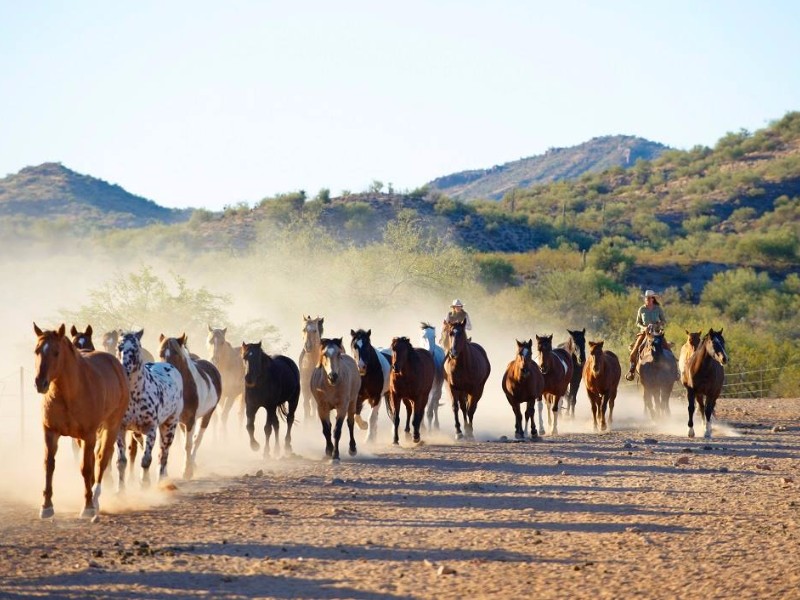 Rancho de los Caballeros