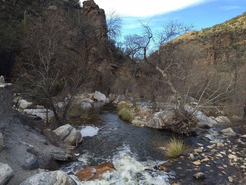 Sabino Lake Trail Hike