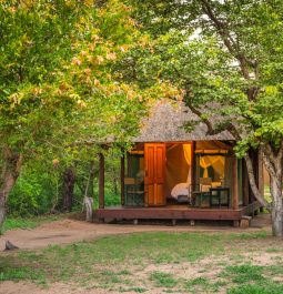 safari tent at Shindzela Bush Camp