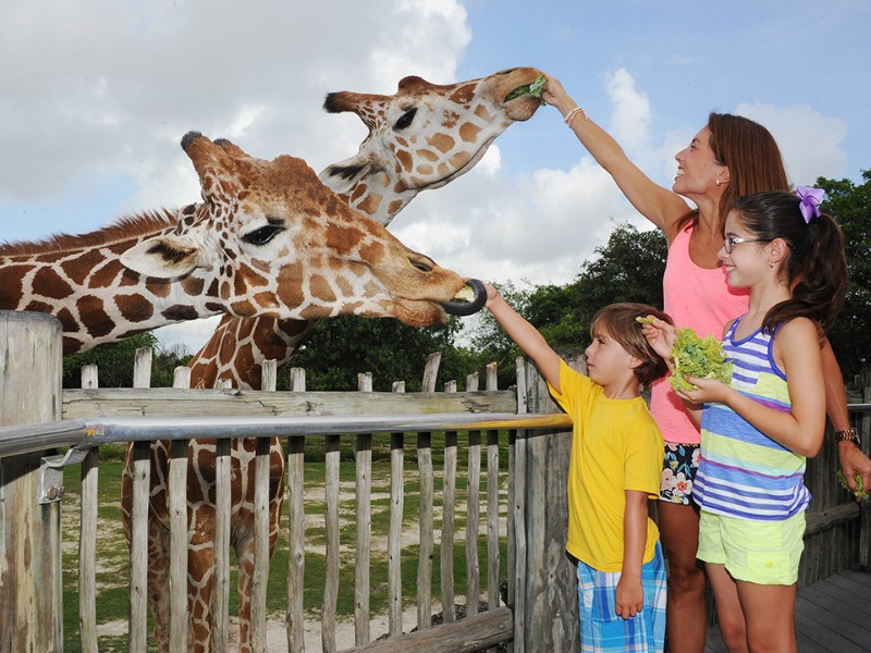 Zoo Miami, Miami