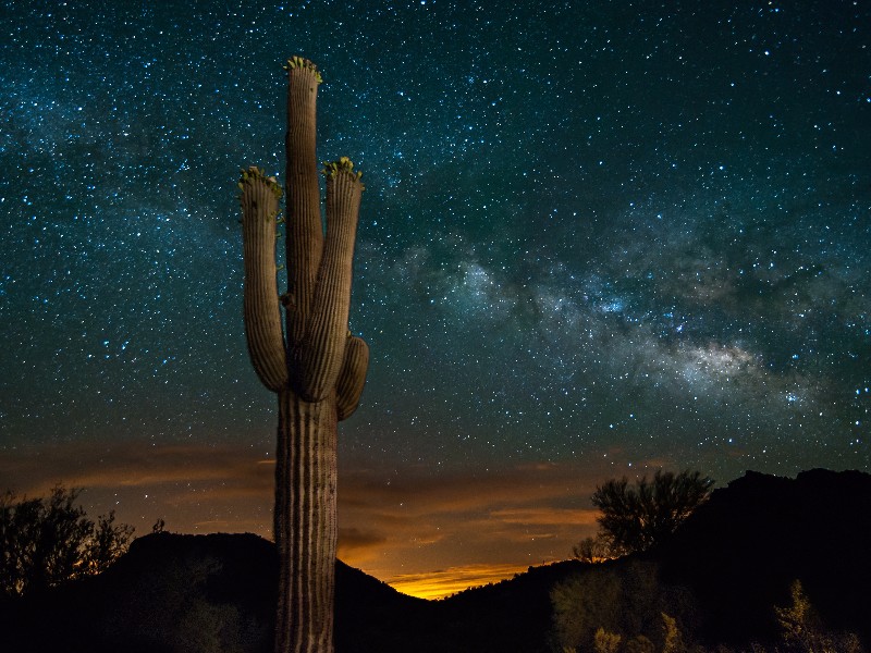 Starry night and Milky Way over the Arizona desert