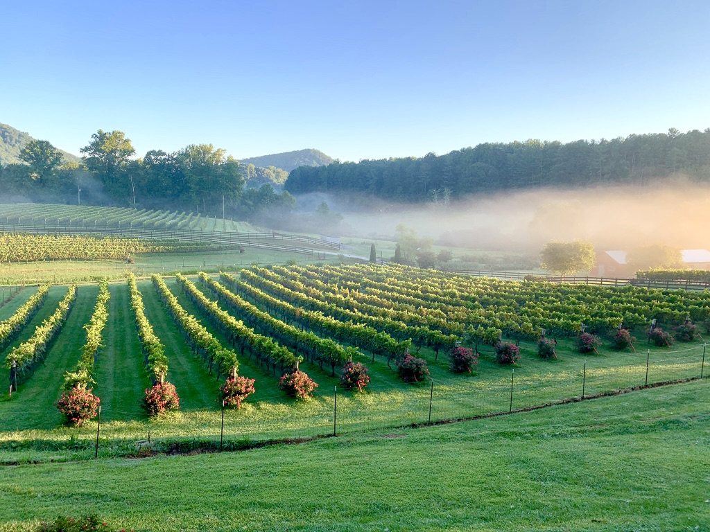 Stonewall Creek Vineyards