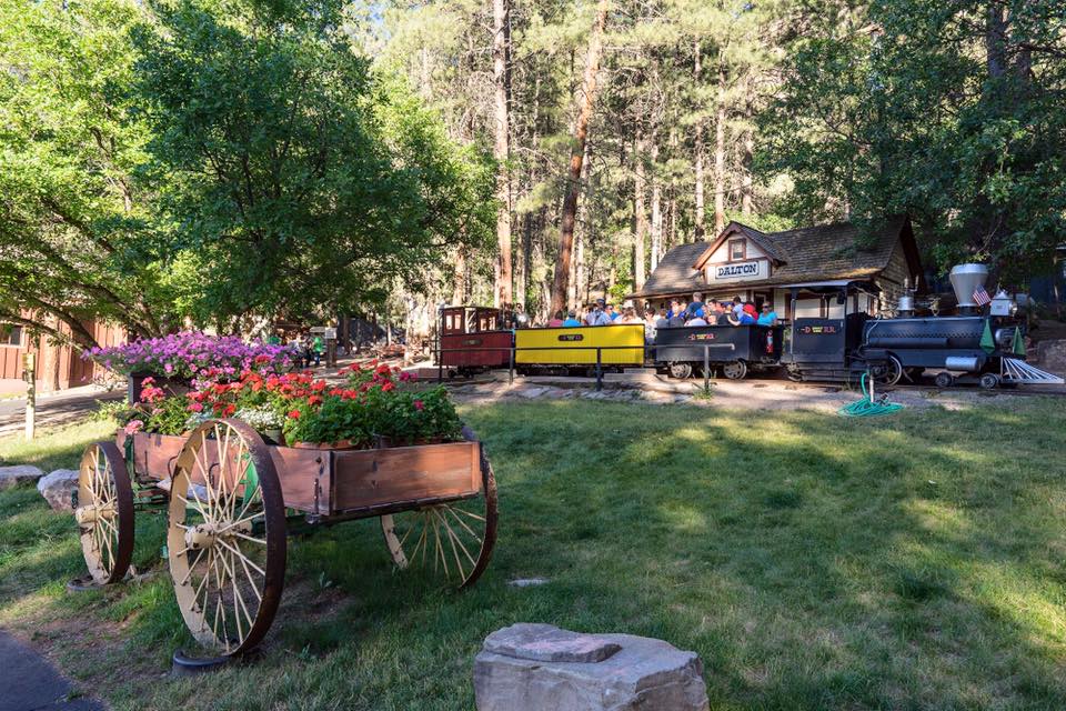 Bar D Chuckwagon Suppers