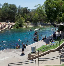 swimming pool surrounded by trees and full of people swimming