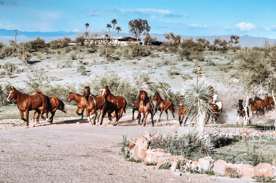 Flying E Dude Ranch