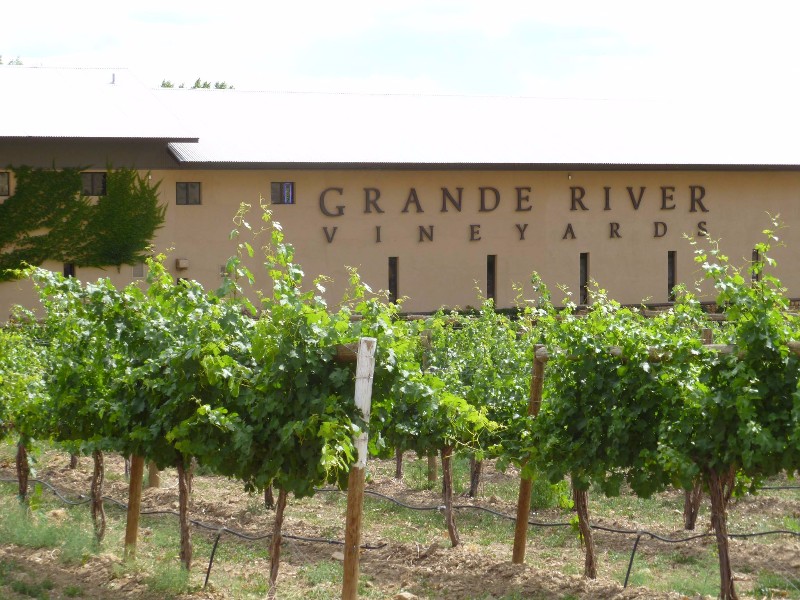 Grande River Vineyards