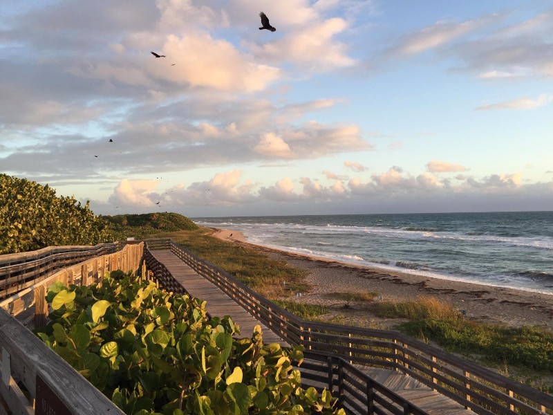 John D. MacArthur Beach State Park