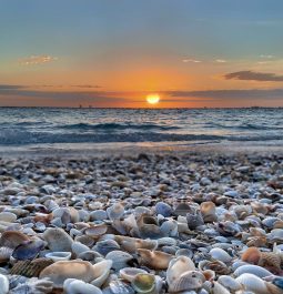 shoreline of seashells on Sanibel Island at sunset