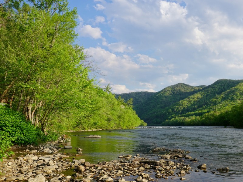 Spring along the French Broad River in Hot Springs, NC