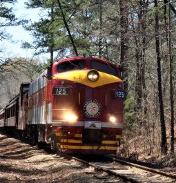 red railroad train with lights on going through the Texas forest