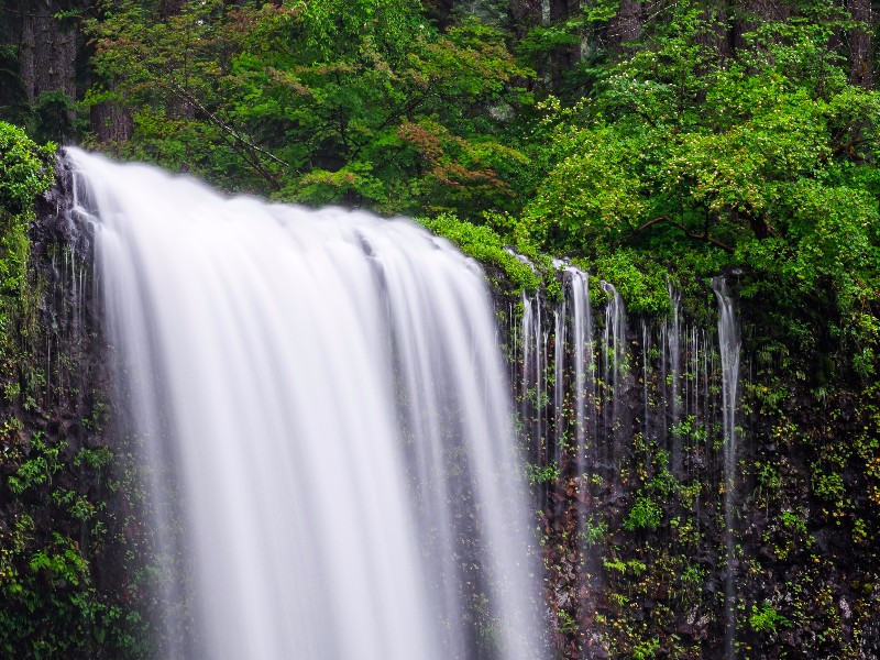 Top of South Falls at Silver Falls State Park, Oregon