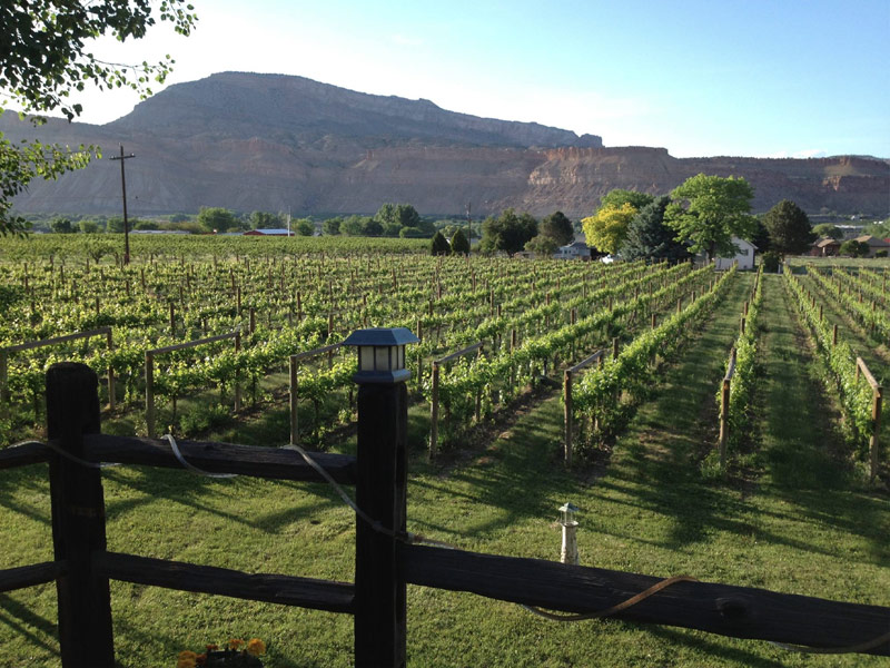 BookCliff Vineyards, Boulder