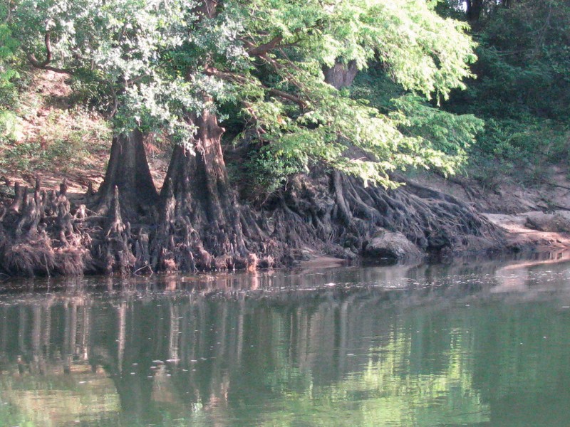 Trip on Flint River