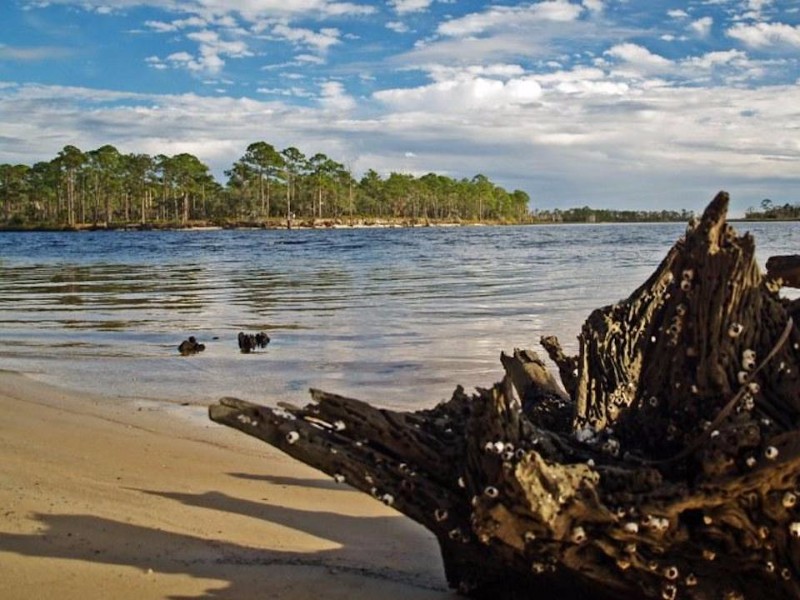 Ochlockonee River State Park, Sopchoppy