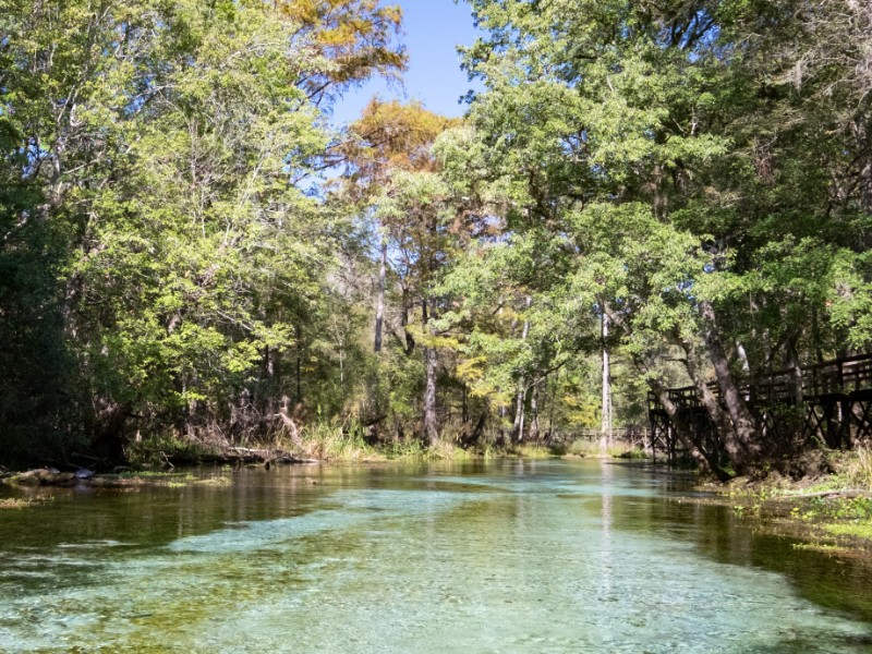 Gilchrist Blue Springs State Park