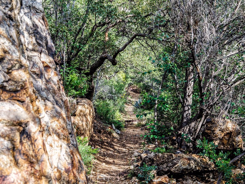 Trail to Cattail Falls