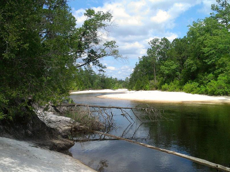 Blackwater River State Park