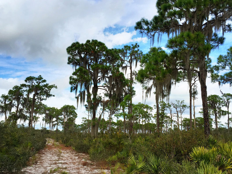 Lake Placid, Florida