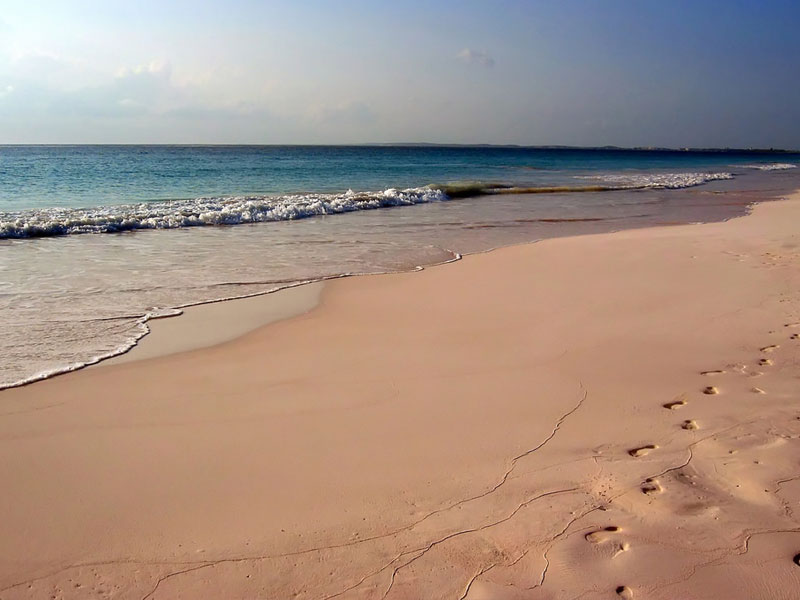 Pink Sands Beach