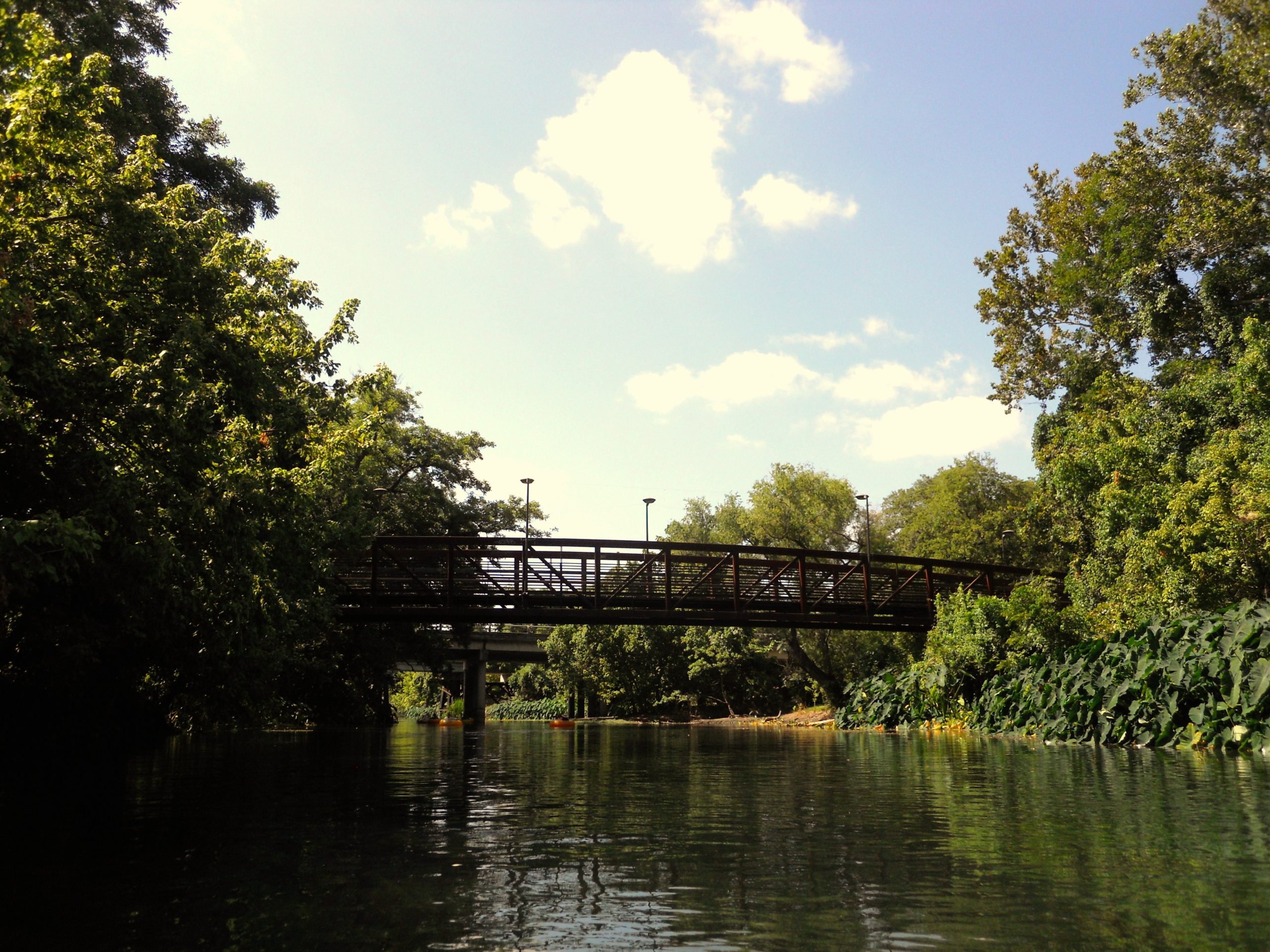 Floating under the bridge on the San Marcos River