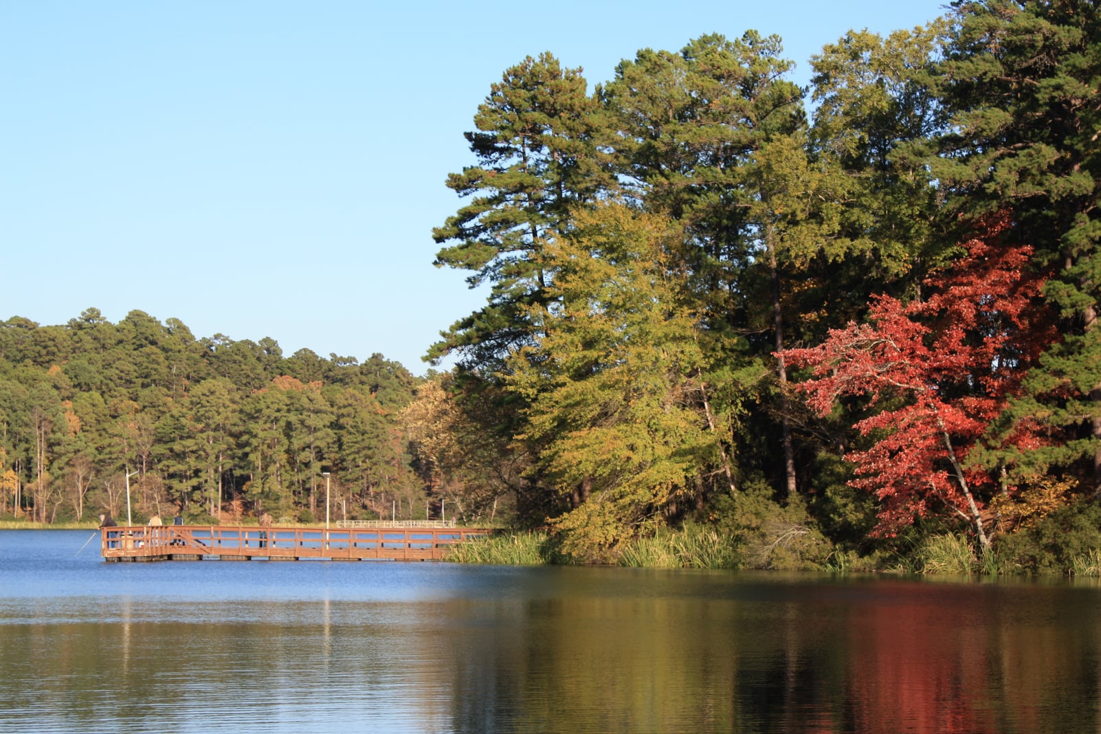 Tyler State Park